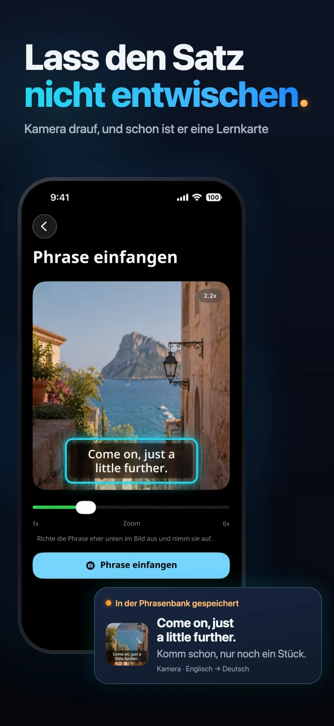 Einen Satz aus einer echten Szene mit der Scenelet-Kamera erfassen